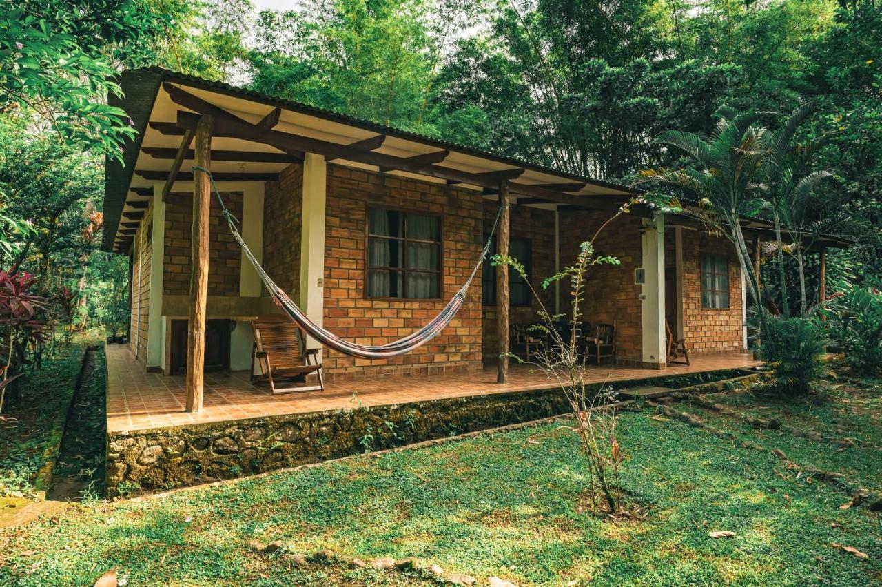 Huingos Eco Lodge تارابوتو المظهر الخارجي الصورة