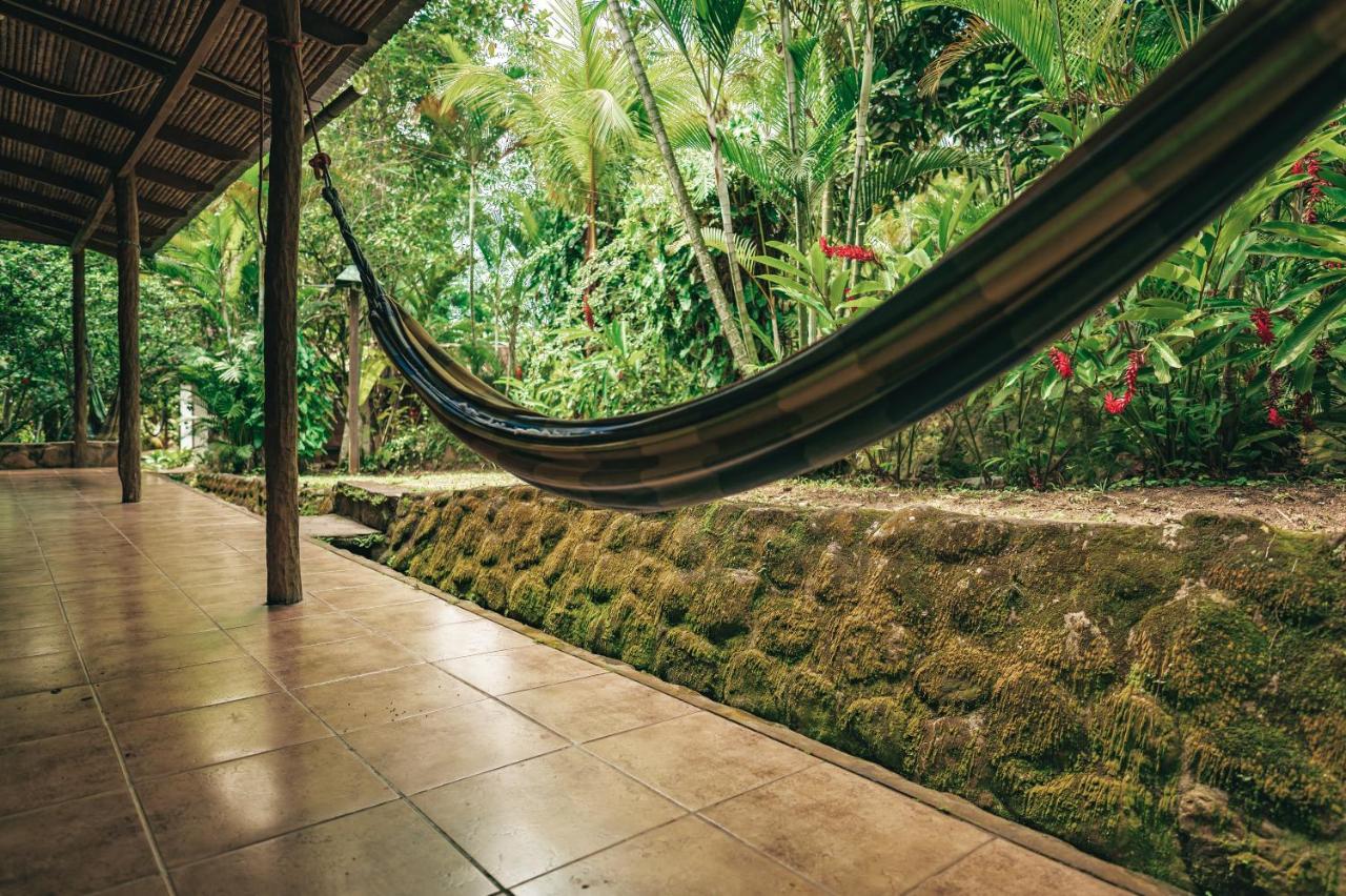 Huingos Eco Lodge تارابوتو المظهر الخارجي الصورة