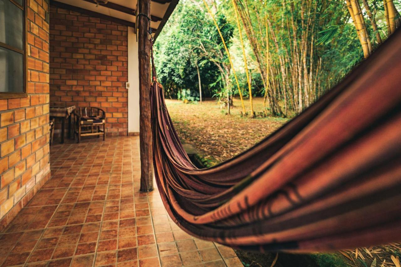 Huingos Eco Lodge تارابوتو المظهر الخارجي الصورة