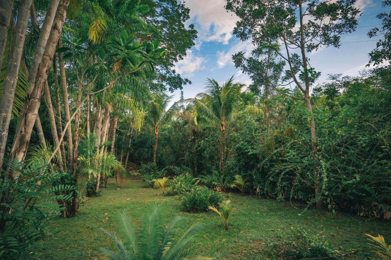 Huingos Eco Lodge تارابوتو المظهر الخارجي الصورة