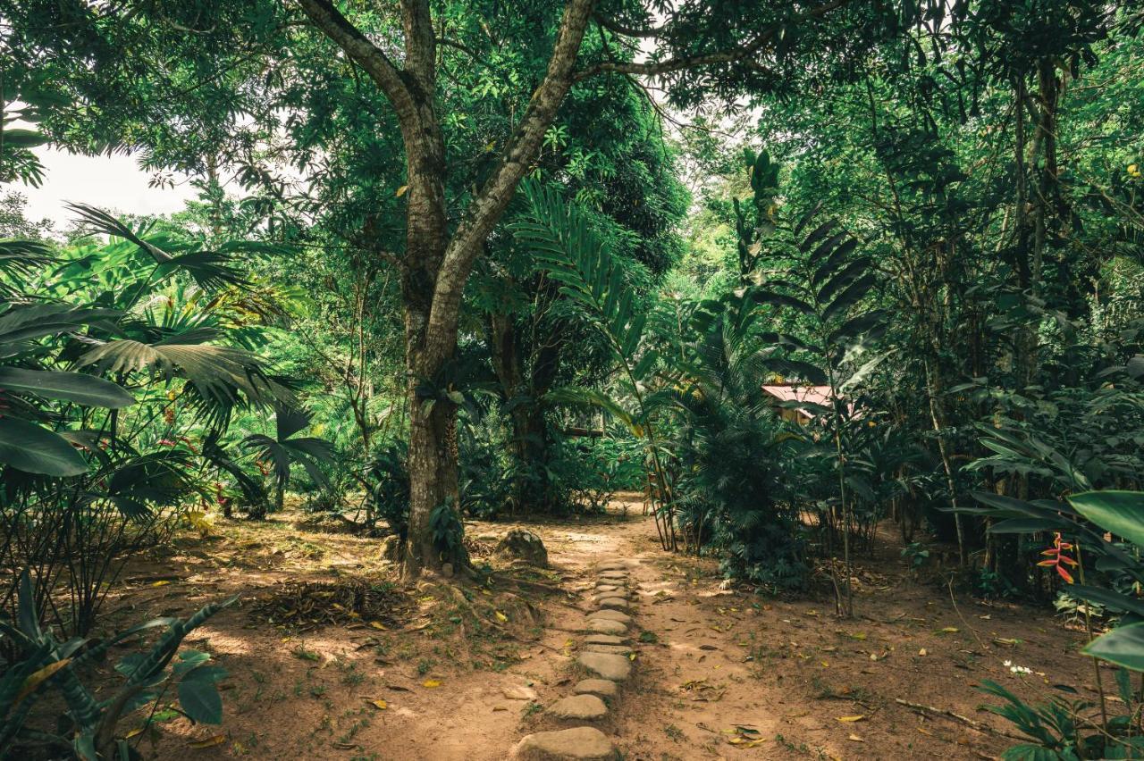 Huingos Eco Lodge تارابوتو المظهر الخارجي الصورة
