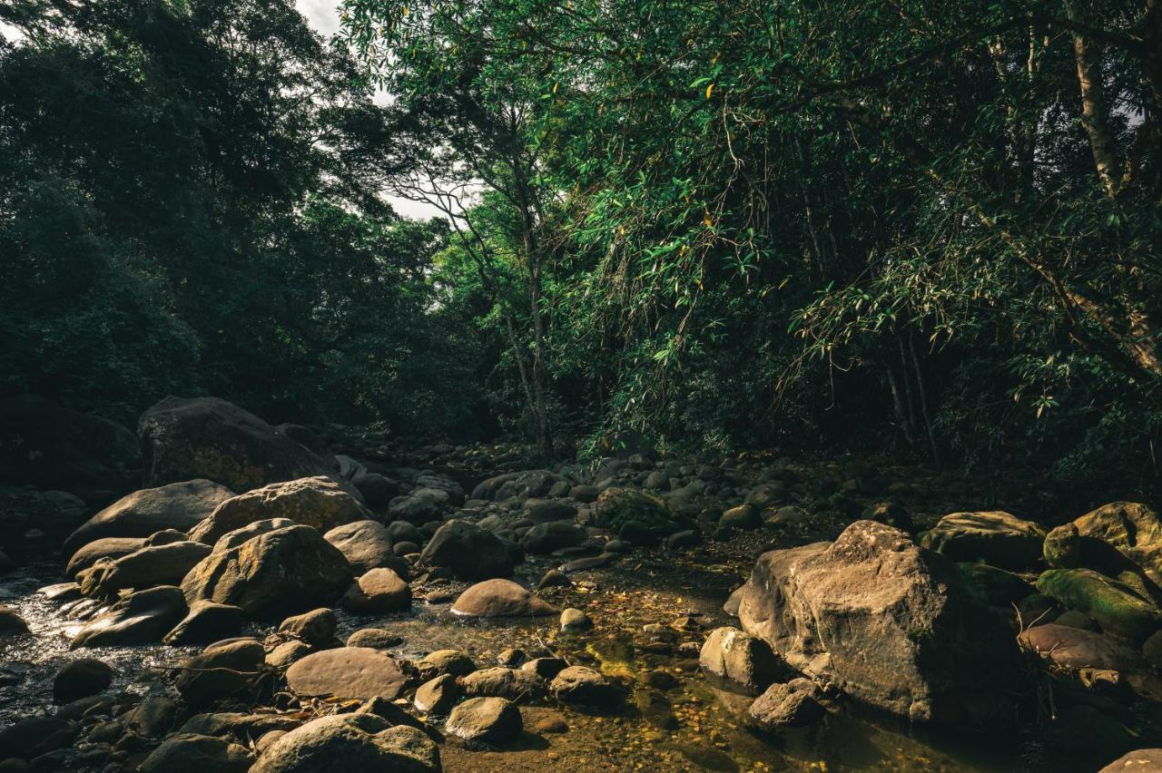 Huingos Eco Lodge تارابوتو المظهر الخارجي الصورة