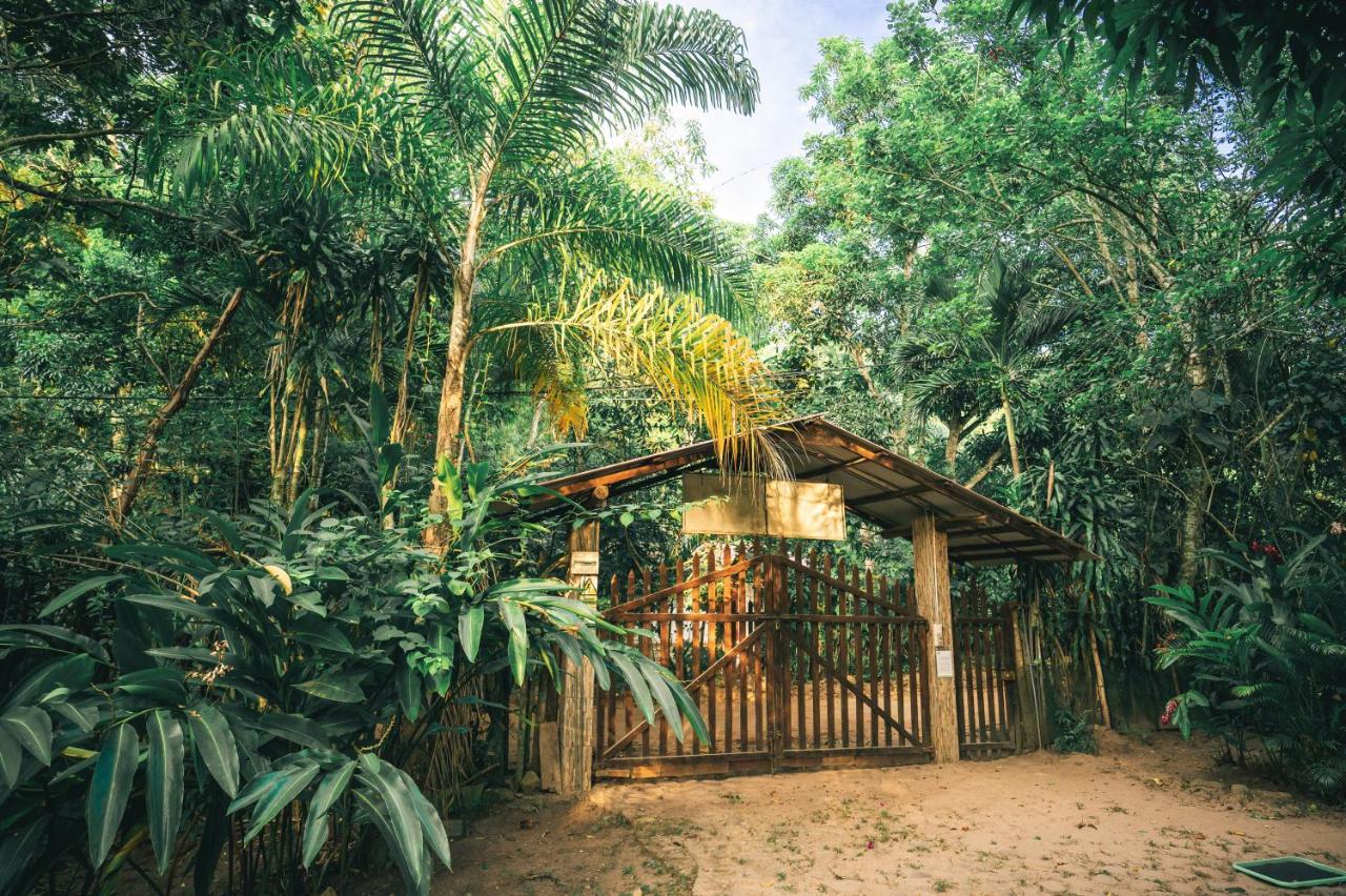 Huingos Eco Lodge تارابوتو المظهر الخارجي الصورة