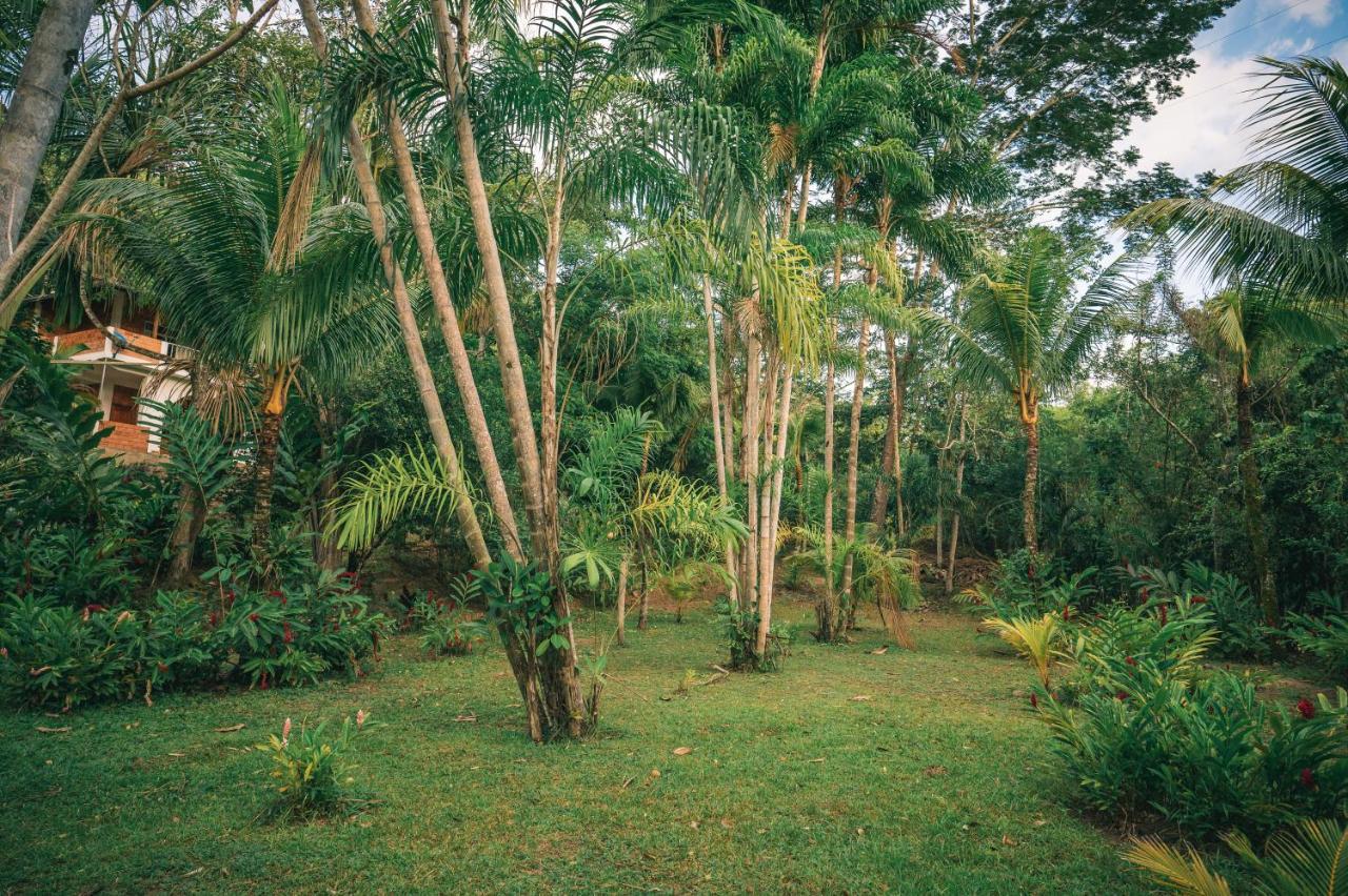 Huingos Eco Lodge تارابوتو المظهر الخارجي الصورة