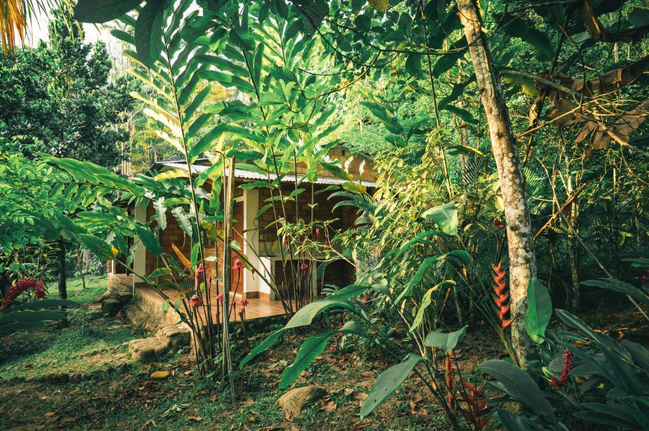 Huingos Eco Lodge تارابوتو المظهر الخارجي الصورة