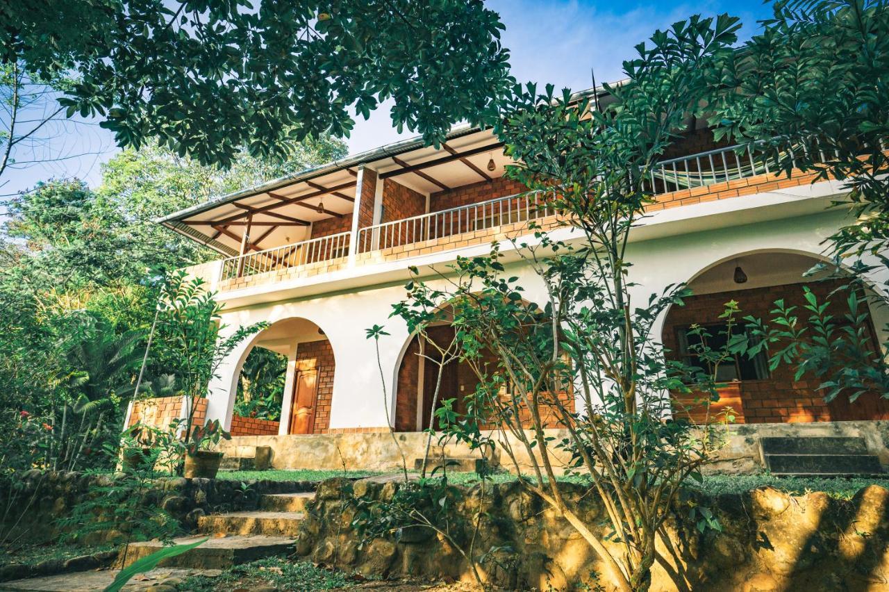 Huingos Eco Lodge تارابوتو المظهر الخارجي الصورة