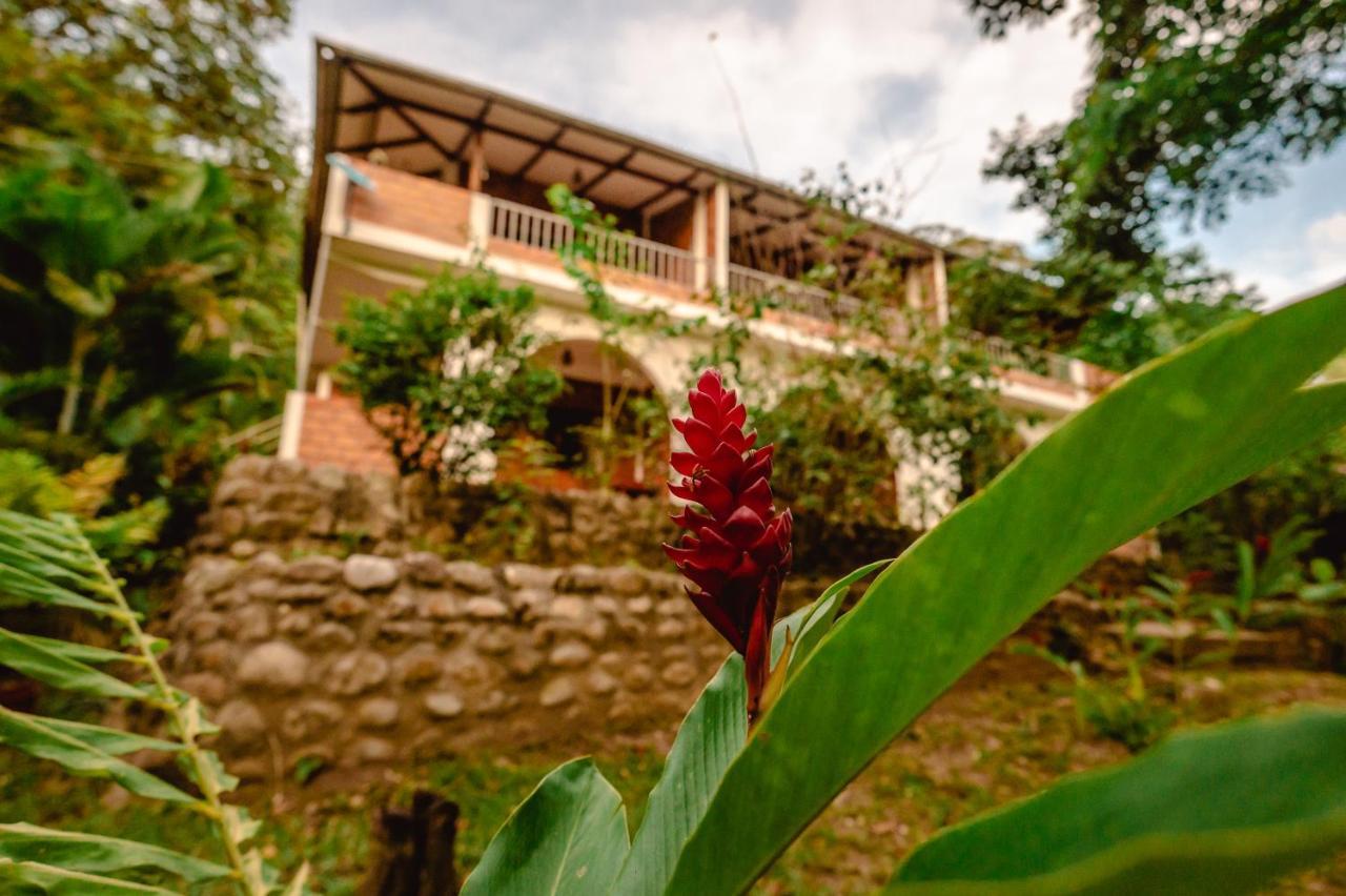 Huingos Eco Lodge تارابوتو المظهر الخارجي الصورة