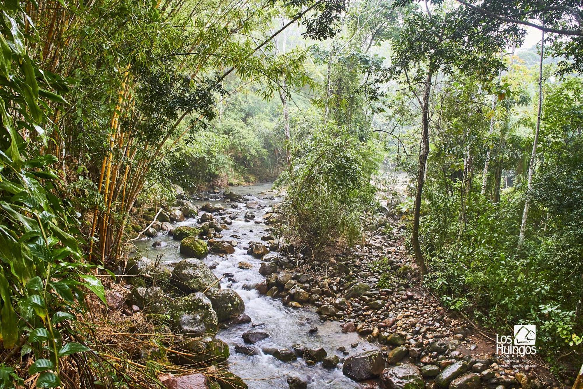 Huingos Eco Lodge تارابوتو المظهر الخارجي الصورة