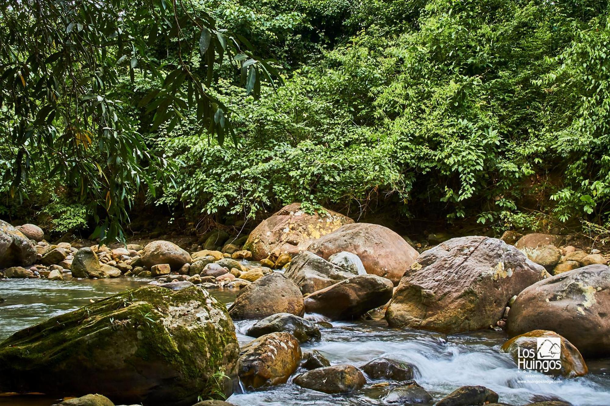 Huingos Eco Lodge تارابوتو المظهر الخارجي الصورة